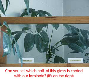Which half of this clear glass is coated? 